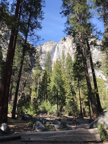 Yosemite Haven @ Pine Mountain Lake. Dog Friendly! * Groveland